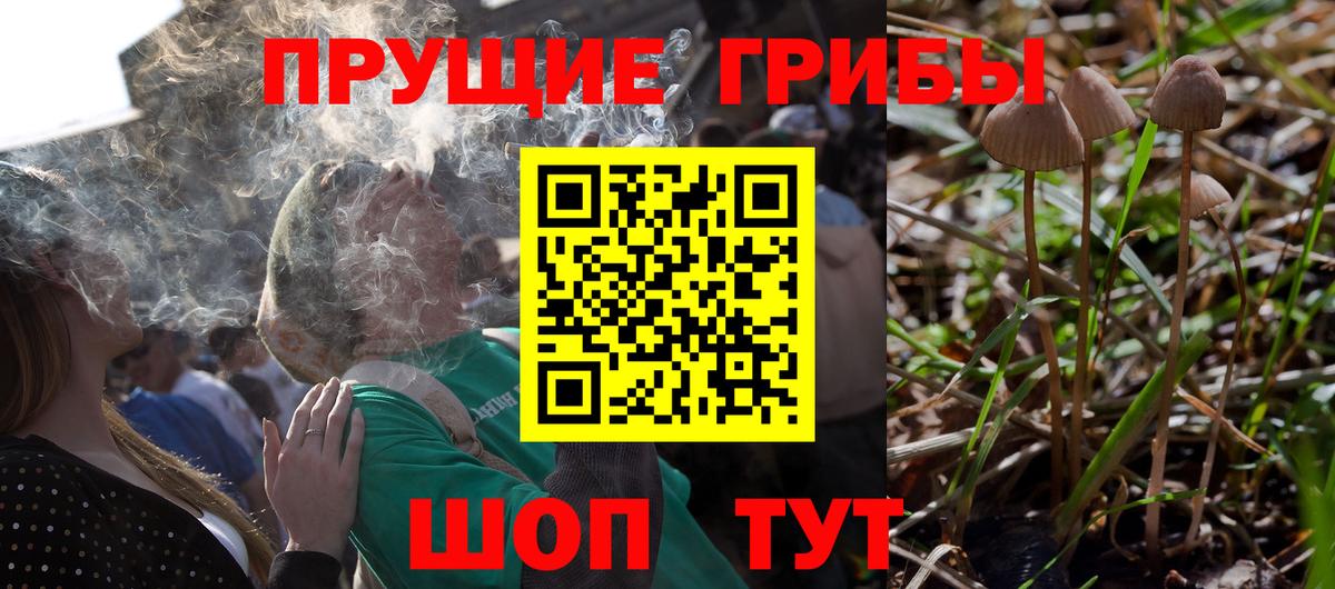 Галлюциногенные грибы мицелий  Вход с VPN  Бугуруслан  Псилоцибиновые грибы прущие грибы 